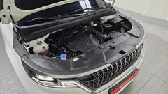 2023 Kia Carnival Gasoline 9-Seater Signature — фото 6