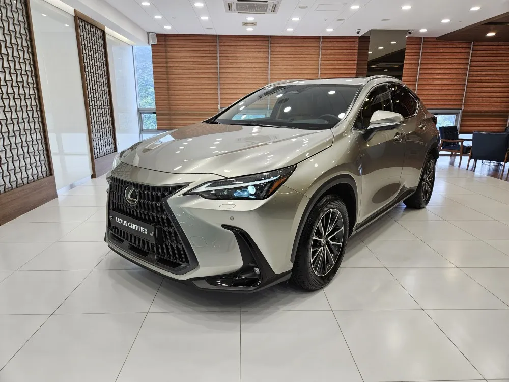2024 Lexus NX Premium