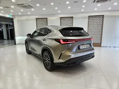 2024 Lexus NX Premium, серо-серебристый — фото 2
