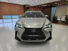 2024 Lexus NX Premium, серо-серебристый — фото 3