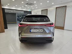 2024 Lexus NX Premium, серо-серебристый — фото 4