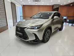 2024 Lexus NX Premium, серо-серебристый — фото 12