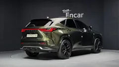 2024 Lexus NX F-Sport, зелёный — фото 2