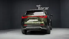 2024 Lexus NX F-Sport, зелёный — фото 4