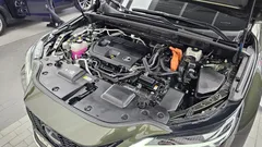 2024 Lexus NX F-Sport, зелёный — фото 6