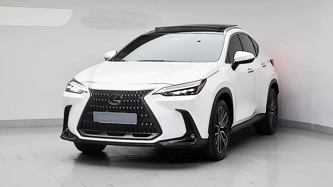 2024 Lexus NX Luxury