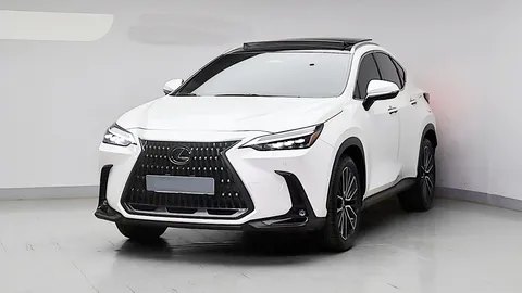 2024 Lexus NX Luxury