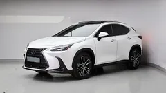 2024 Lexus NX Luxury — фото 3