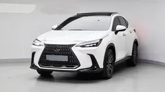 2024 Lexus NX Luxury — фото 12