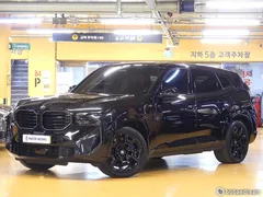 2023 BMW XM 4.4, чёрный — фото 12