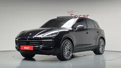 2022 Porsche Cayenne 3.0 PLATINUM EDITION — фото 1