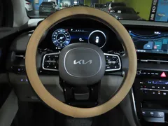 2023 Kia Carnival Gasoline 9-Seater Hi-Limousine — фото 10