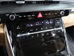 2023 Kia Carnival Diesel 9-Seater Signature — фото 10