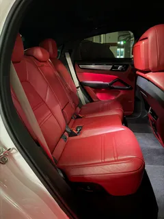 2022 Porsche Cayenne 3.0 COUPE PLATINUM EDITION — фото 16