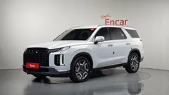 2024 Hyundai Palisade Gasoline 3.8 4WD, белый — фото 1