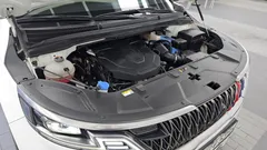2022 Kia Carnival Diesel 7-Seater Signature — фото 6