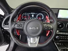 2023 Kia Stinger 2.5 Masters ACRO EDITION — фото 16