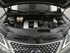 2021 Lexus RX Luxury Plus, серебристый — фото 6