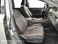 2021 Lexus RX Luxury Plus, серебристый — фото 10