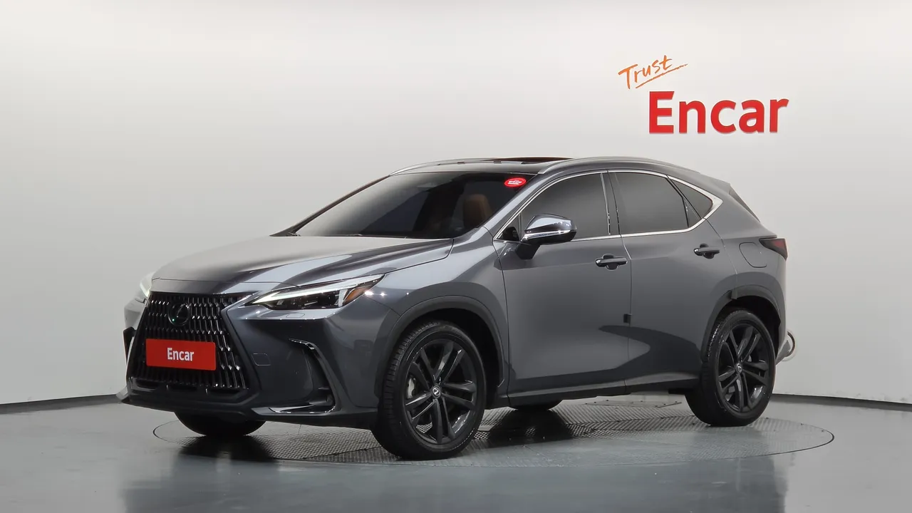 2024 Lexus NX Premium
