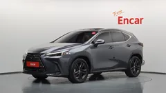 2024 Lexus NX Premium — фото 13