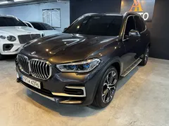 2022 BMW X5 xDrive 30d xLine — фото 11