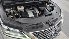 2021 Lexus RX Luxury Plus, серо-серебристый — фото 6