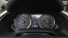 2021 Lexus RX Luxury Plus, серо-серебристый — фото 8