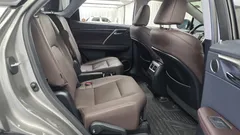2021 Lexus RX Luxury Plus, серо-серебристый — фото 12