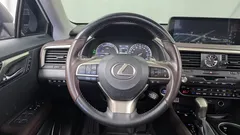 2021 Lexus RX Luxury Plus, серо-серебристый — фото 13