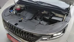 2023 Kia Carnival Gasoline 7-Seater Signature — фото 6
