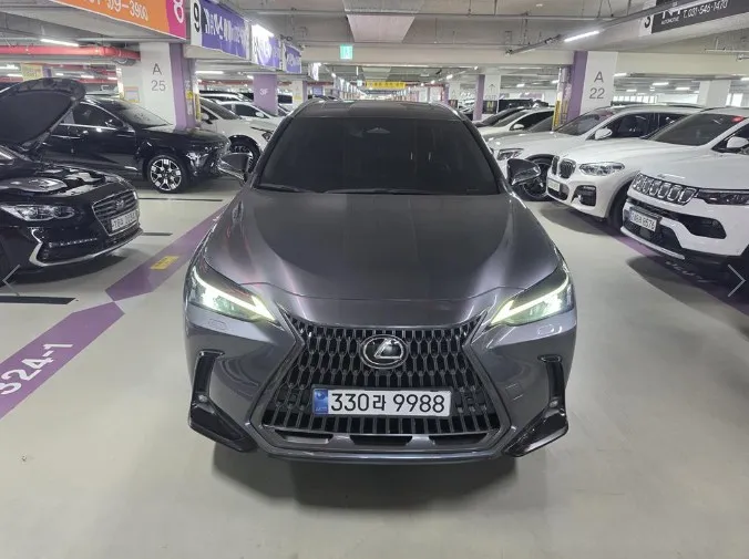2024 Lexus NX Premium