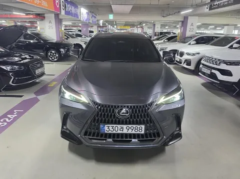 2024 Lexus NX Premium