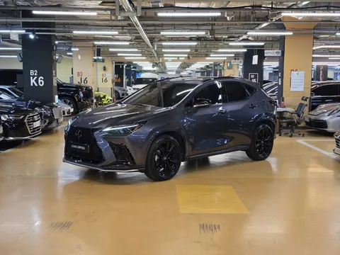 2024 Lexus NX F-Sport