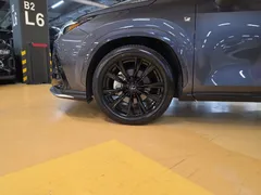 2024 Lexus NX F-Sport, серый — фото 5