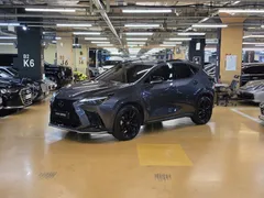 2024 Lexus NX F-Sport, серый — фото 11
