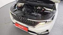 2023 Kia Carnival Gasoline 9-Seater Signature — фото 6
