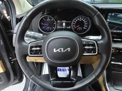 2023 Kia Carnival Diesel 9-Seater Prestige — фото 17