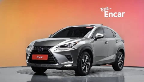 2021 Lexus NX Executive