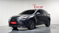 2024 Lexus NX Premium, серый — фото 1