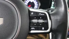 2023 Kia Carnival Diesel 9-Seater Prestige — фото 19