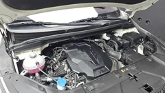 2023 Kia Carnival Gasoline 7-Seater Hi-Limousine — фото 6