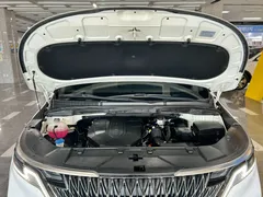 2023 Kia Carnival Diesel 9-Seater Noblesse — фото 6
