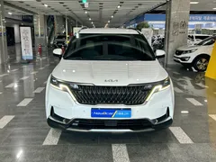 2023 Kia Carnival Diesel 9-Seater Noblesse — фото 12