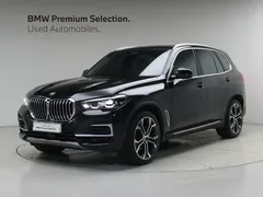 2022 BMW X5 xDrive 30d xLine — фото 12