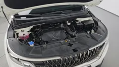2023 Kia Carnival Gasoline 7-Seater Signature — фото 6