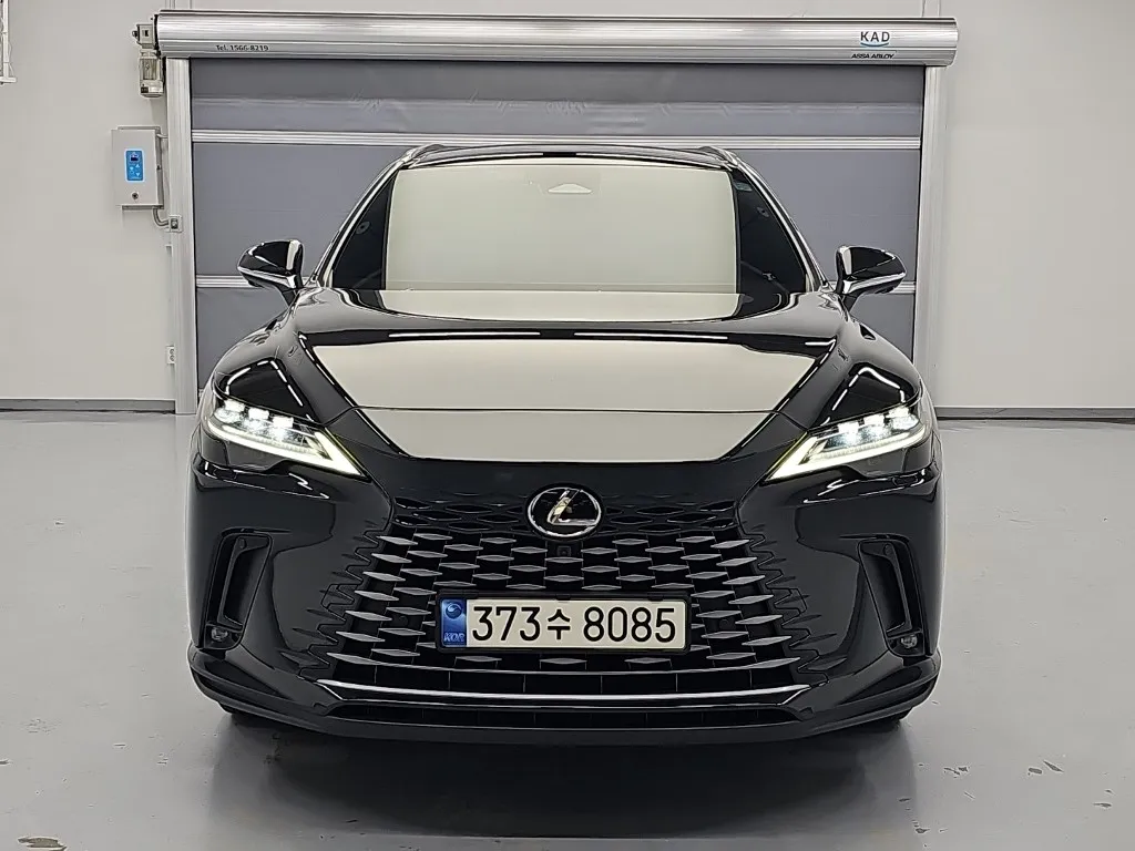 2024 Lexus RX Luxury