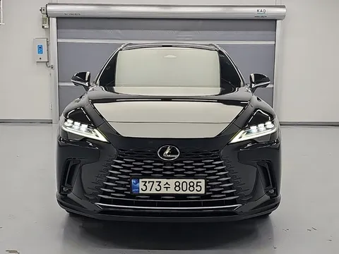 2024 Lexus RX Luxury