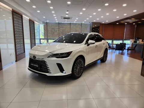 2023 Lexus RX Luxury