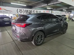 2024 Lexus NX Premium, серый — фото 3